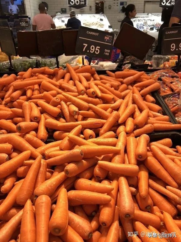 迪拜物价有多高,迪拜物价咋样的