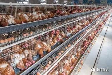 阳曲泥屯思西规划,泥屯思西新消息