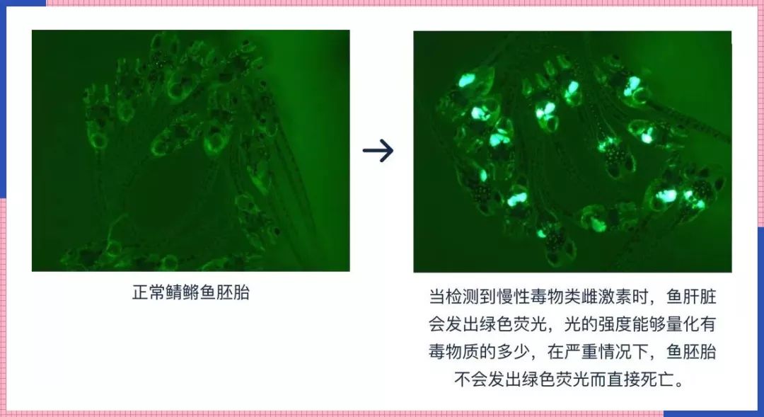 小红书性价比高的眼霜,眼霜40+测评推荐