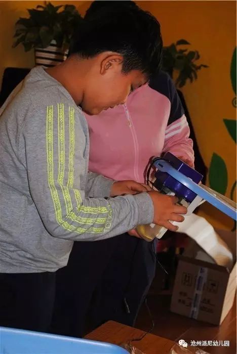 生命教育孵蛋,生命教育课程孵小鸡