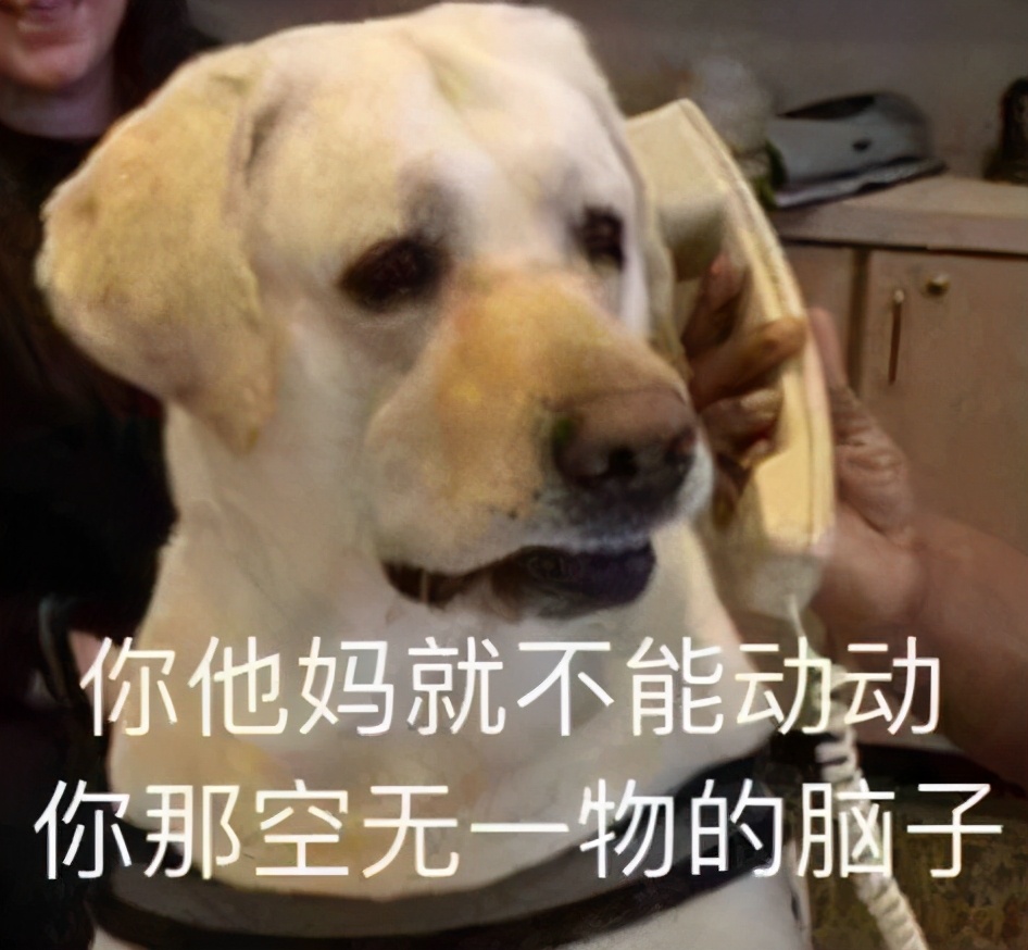 lv原单真的跟正品没差吗,有必要买正品lv吗