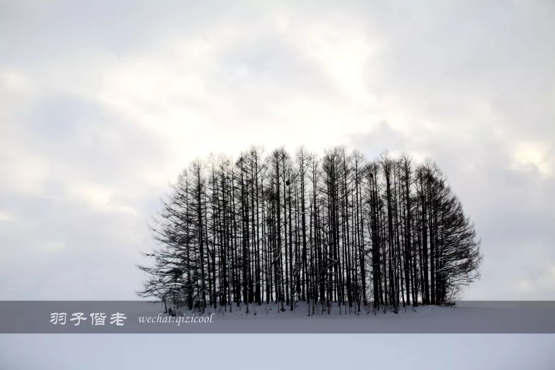 日本10天自由行费用北海道,东京北海道5日自由行攻略