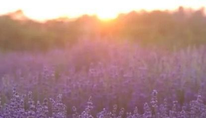 苏北第一县级市沭阳,苏北第一大县沭阳