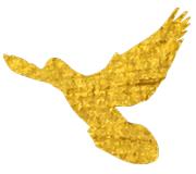 校园里的超燃时刻,校园毕业唱歌快闪惊艳全场