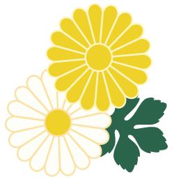 有了白天的忙碌才有夜间的休憩,大学选修课在白天么