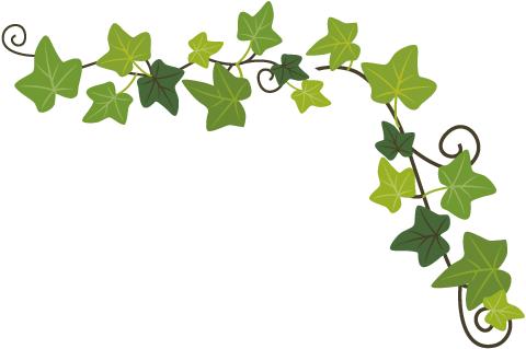 推荐｜团团的问候：你已经回家了吗？