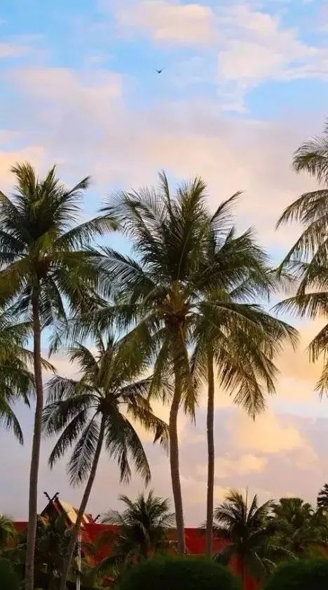 开心麻花新电影取景地爆火,开心麻花电影取景海岛