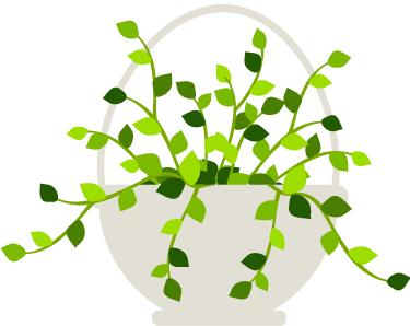 未检性侵案社会治理检察建议,未检检察官讲性侵犯案例