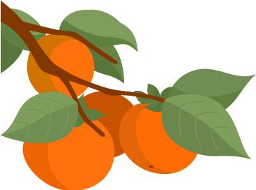 身影或许略显蹒跚，心中仍是追风少年——“烟台农商银行”最靓足球拍档展示就等你了！