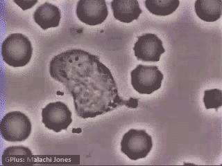 带你声临其境探索宇宙,带你探索维度空间
