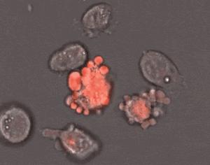 带你声临其境探索宇宙,带你探索维度空间