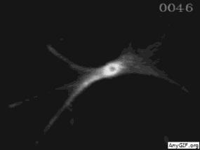 带你声临其境探索宇宙,带你探索维度空间