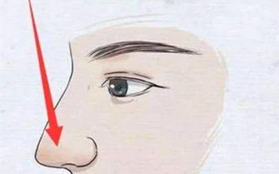 长什么样的鼻子有财有福气,女人什么样的鼻子最有福气