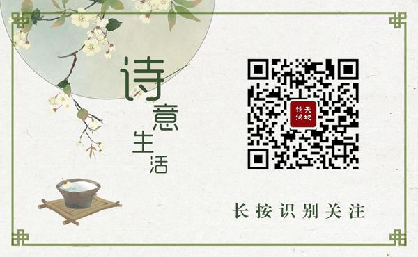 人心不足蛇吞象典故是真的吗,人心不足蛇吞象王莽的动画故事