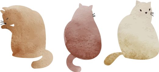 超级真菌感染的谣言,国家卫健委专家谈超级真菌感染