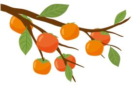 实时更新最新招工信息,看过来又一波招工信息来袭