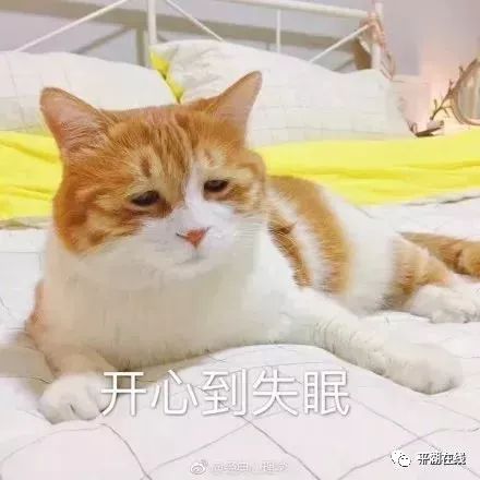 哇塞!在平湖的这个村,留住美丽有了”良策“!