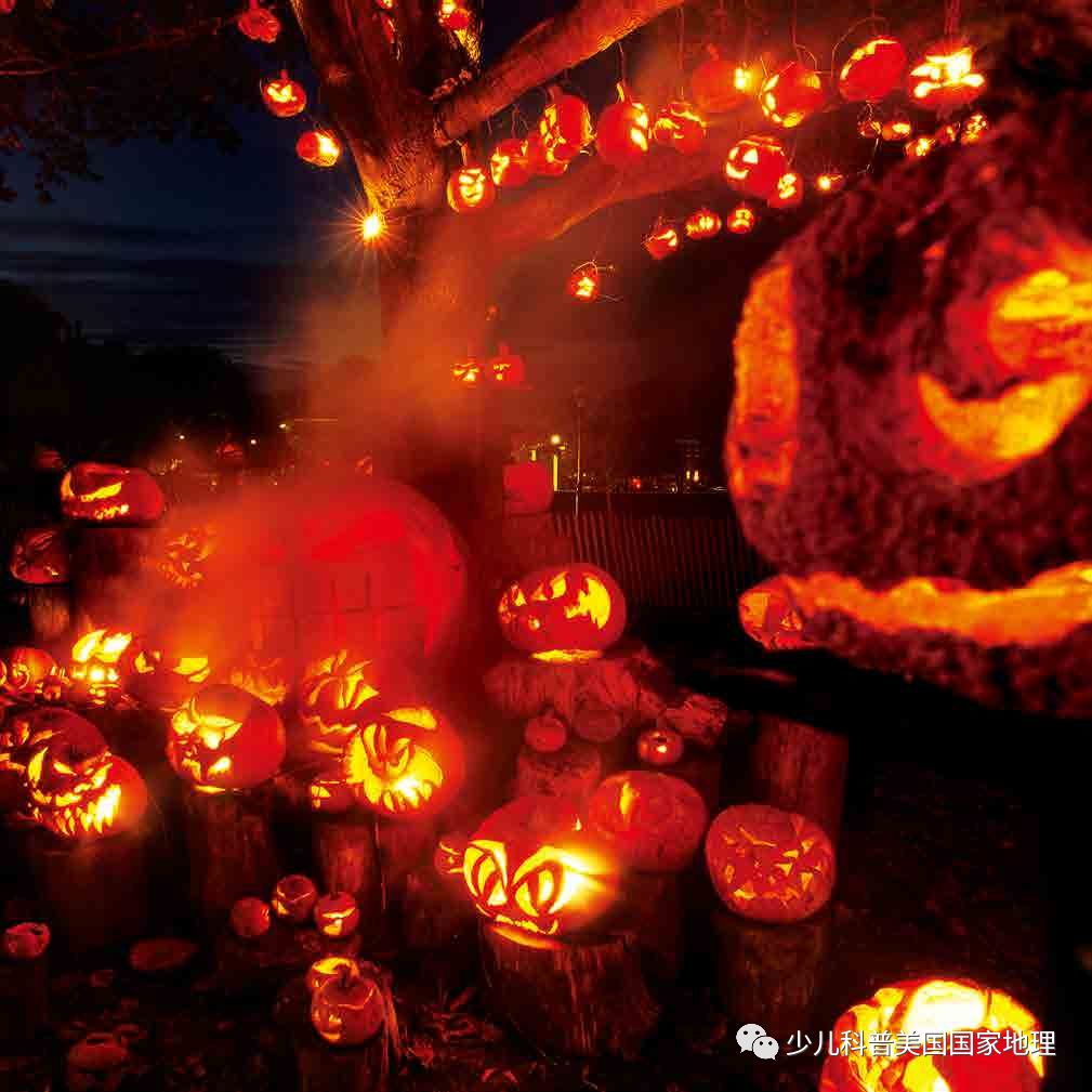 最新世界级盛会,世界十大盛会