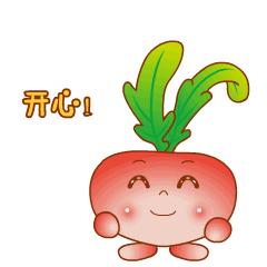 南方南马,南马的最新消息