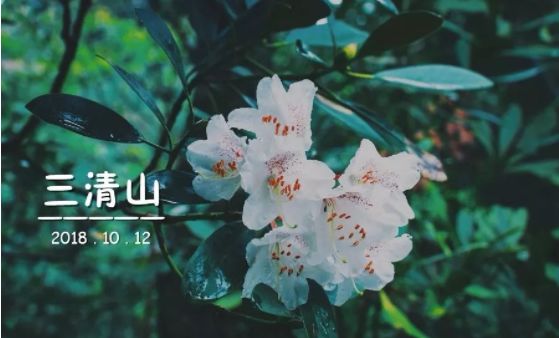 三清山游客评论,三清山评价