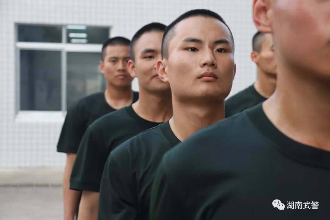 见字如面入伍家书,见字如面十五封信