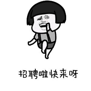 神华宁煤石嘴山招聘,国电投内蒙古能源有限公司招聘