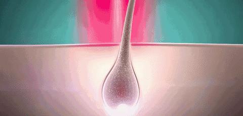 防脱发的生姜洗发水安利,官方推荐防脱洗发水