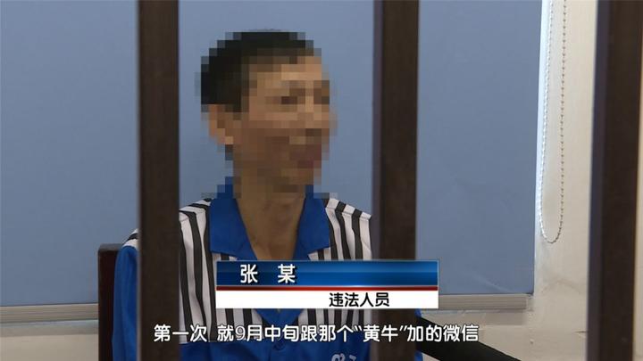 你还在借驾照销分吗？平湖已有多人因此被拘留