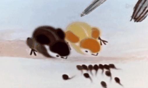 暴露年龄的时间到了：这些动画片，你看过哪些？