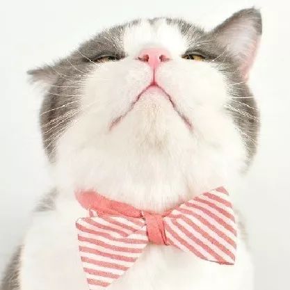 胸痛吃硝酸甘油缓解是怎么回事,发生胸痛为什么慎用硝酸甘油