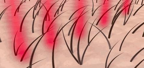 一根头发值25块,一根头发价值多少钱