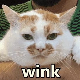 法律规定七天无理由退货法条原文,线下无理由退货法律规定