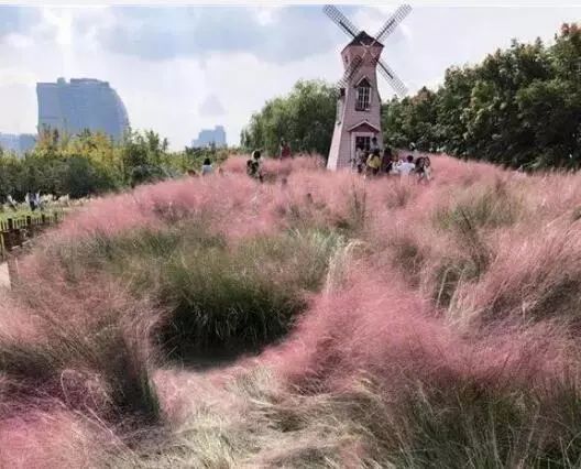 欠费上千万！万豪国际、诚基中心等小区被停电催费；一边说美一边践踏，济南画家村刚铺的草坪遭殃；问卷没按答案抄，家长被老师踢出群