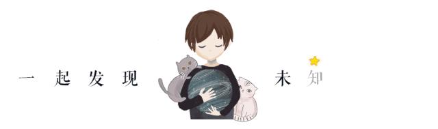 万事屋推荐,万事屋日本风衣