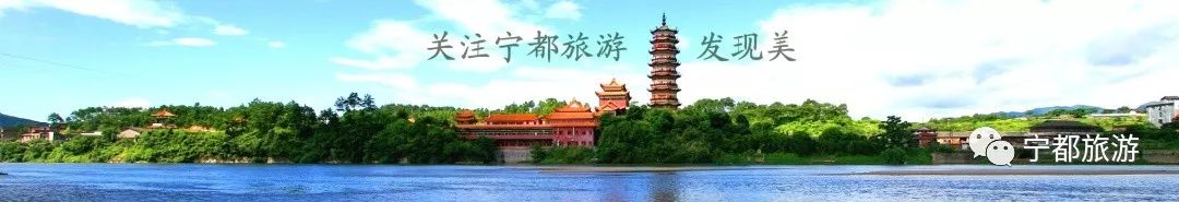 小布岩茶基地,广州小布岩茶