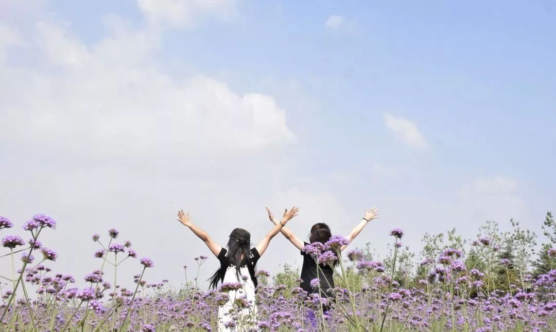 朝阳蓝调庄园亲子乐园,鞍山祥和庄园美吗