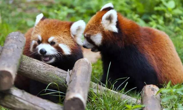 史上最强旅游攻略,最新最强攻略