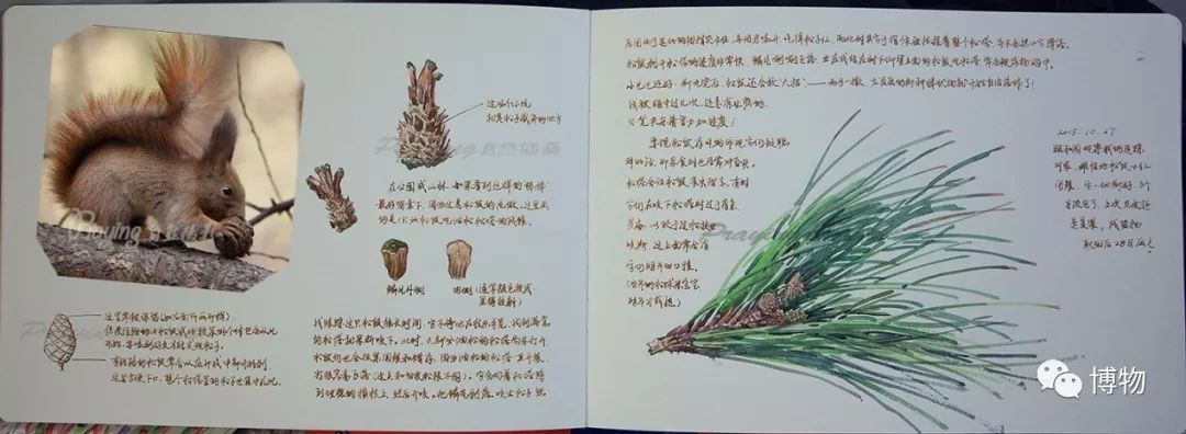 想跟博物一起外出采风？春节我们滇西见