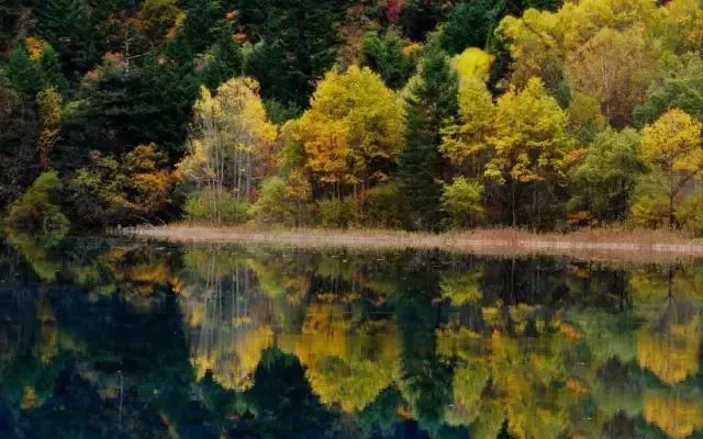 儒家思想对自然的态度,儒家的人与自然关系思想是什么