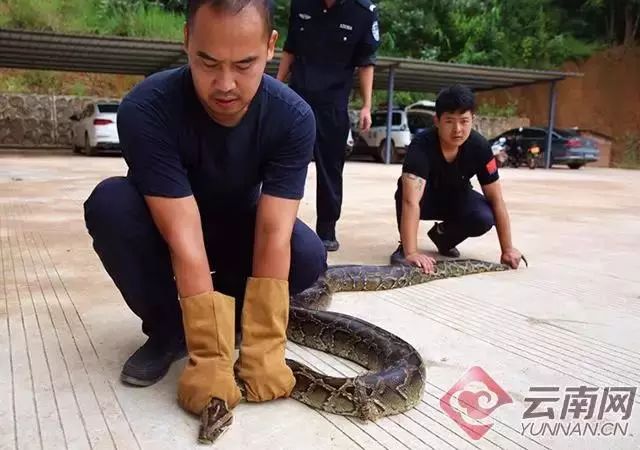 「丽江壹条」丽江市村级光伏扶贫电站建设工作启动/云南省级少年足球赛丽江开赛玉龙县8所小学参加！