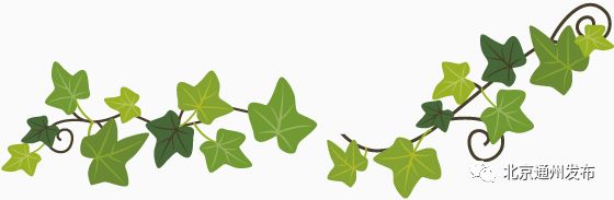 通州建大公园规划图,通州大公园