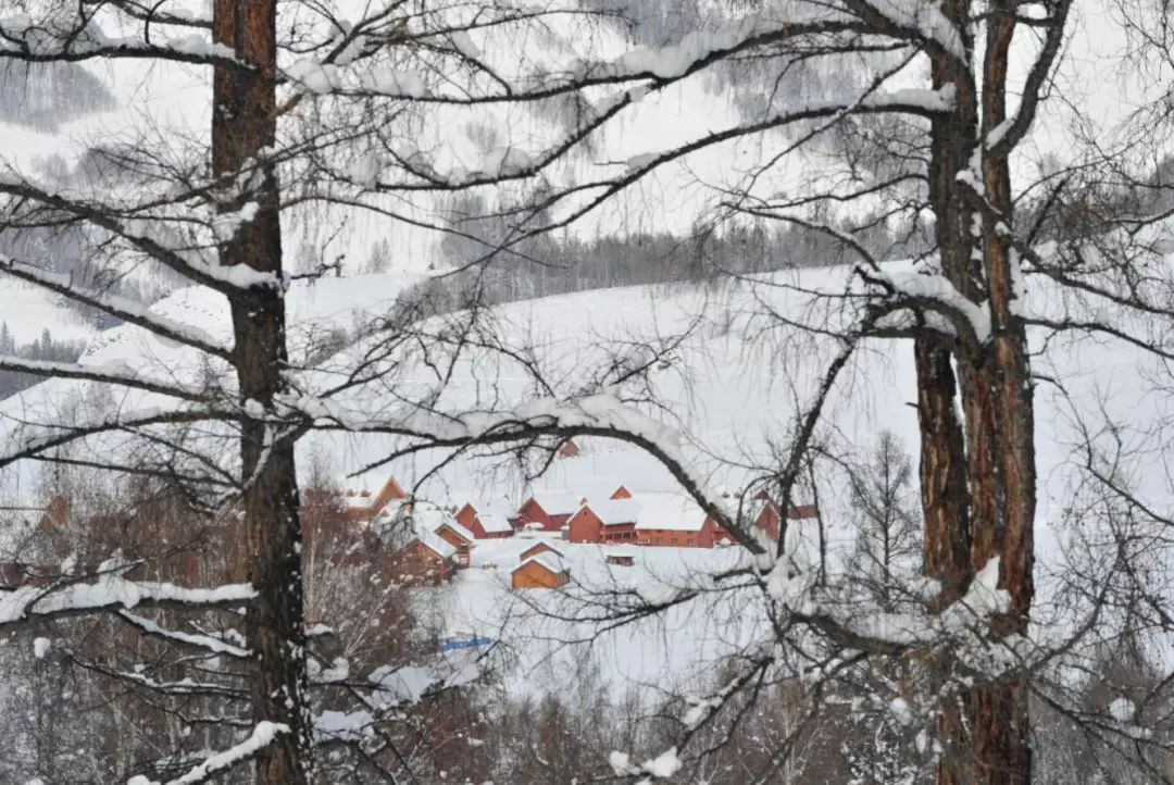 最新复航通知乌鲁木齐到贵阳,乌鲁木齐洛阳曼谷航线4月12日复航