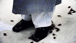 不用喂药！不用追！轻轻喷在它们的必经之路，就能瞬间“制服”！