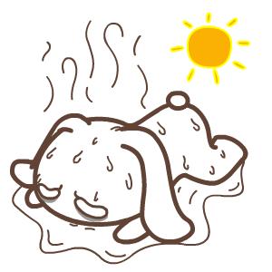 最高温度长沙今日天气,长沙夏天最高温度是多少度