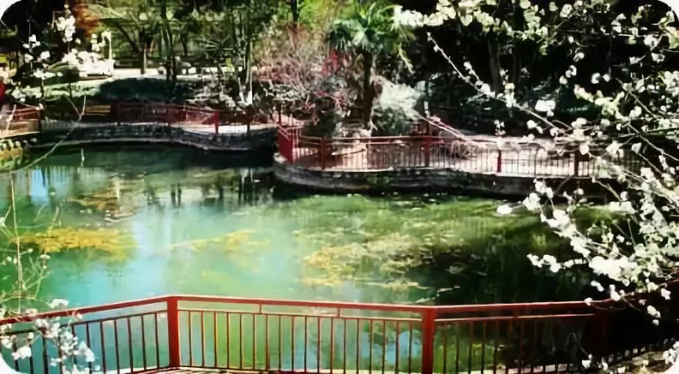 昆明中央公园未来规划,昆明将建100个中心公园名单