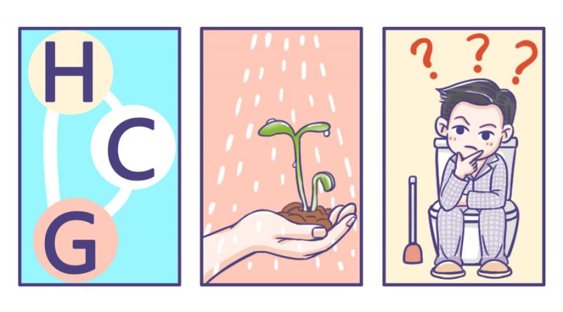 hcg是血准还是尿准,hcg是雌激素还是雄激素