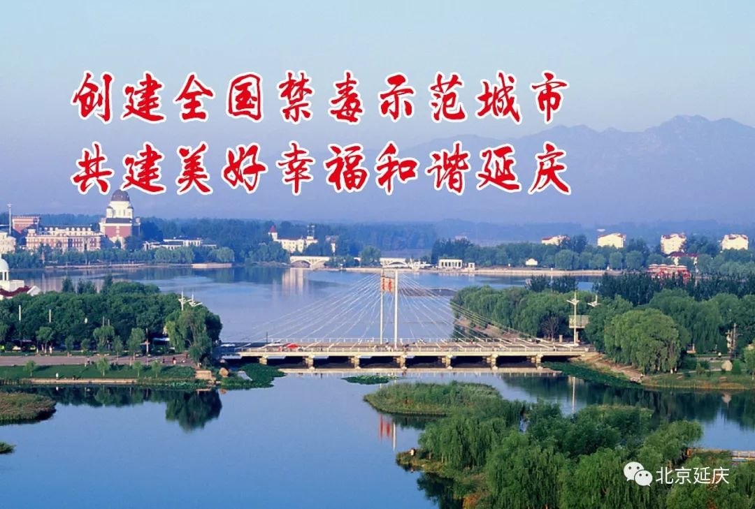 延庆10名中医专家,延庆中医院专家门诊表