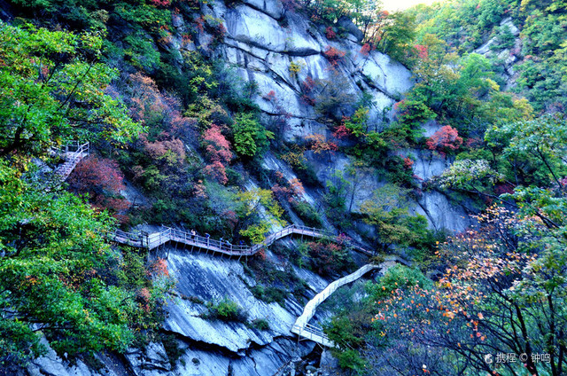 洛阳10大必玩景点,洛阳自驾游必去的十个景点