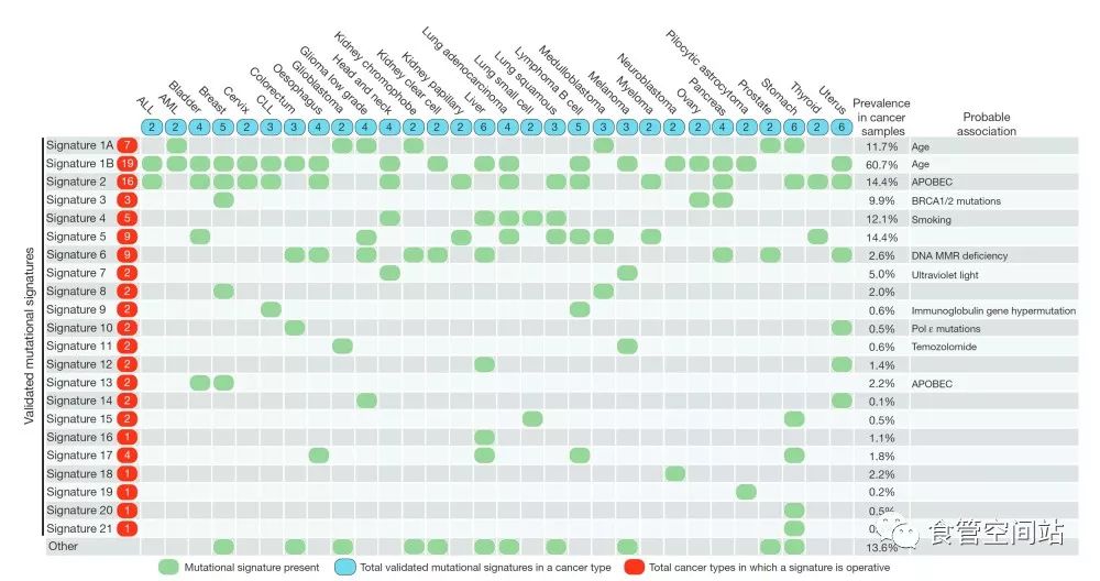 食管鳞癌病例分析,食管鳞癌会基因突变吗