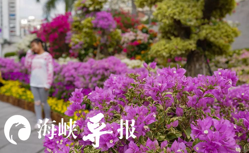 带你看美丽的厦门海边美景,厦门海洋最美丽的风景